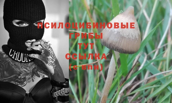 наркотики Алексеевка