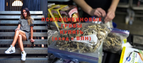 PSILOCYBIN Абдулино