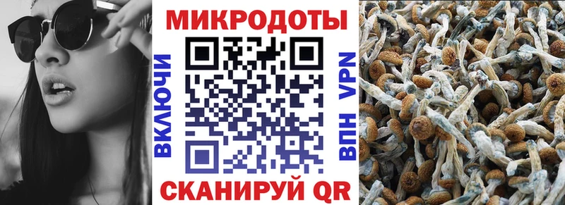 Галлюциногенные грибы GOLDEN TEACHER  Новокубанск 